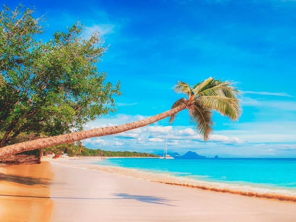 agencia de viagens e turismo em sp caribe